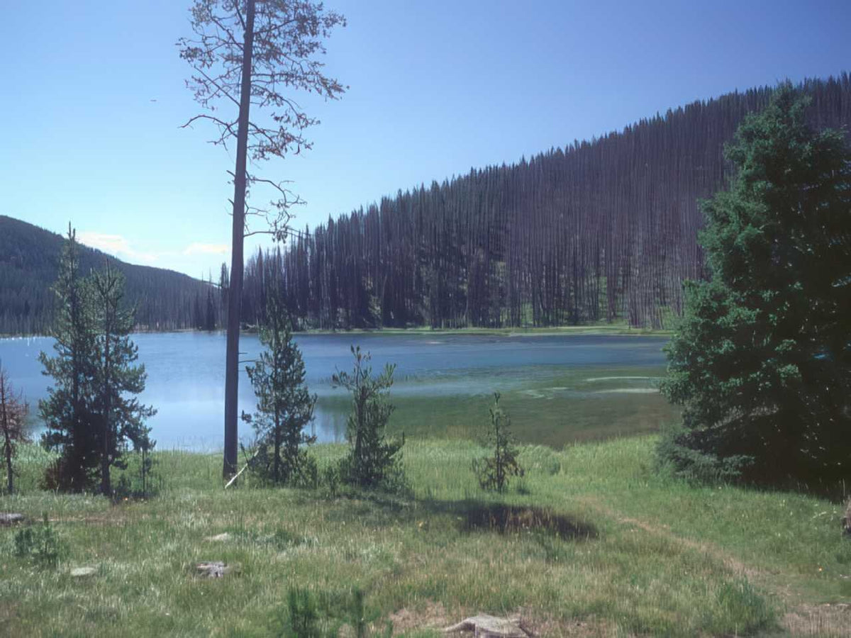 Lake Serene Yellowstone A4 Photo Print