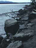 Lake Shore Alaska A4 Photo Print