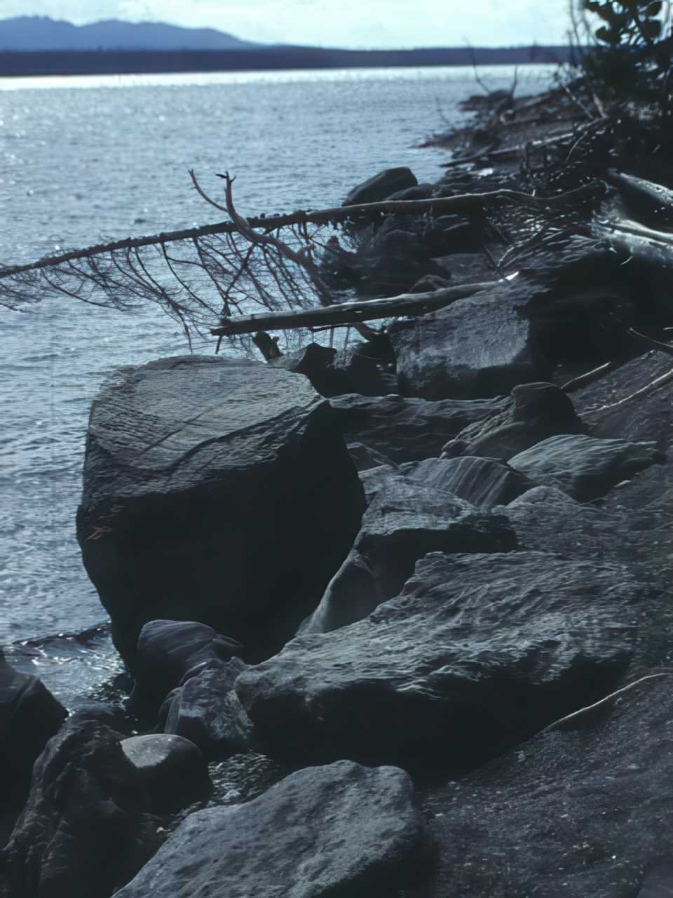 Lake Shore Alaska A4 Photo Print