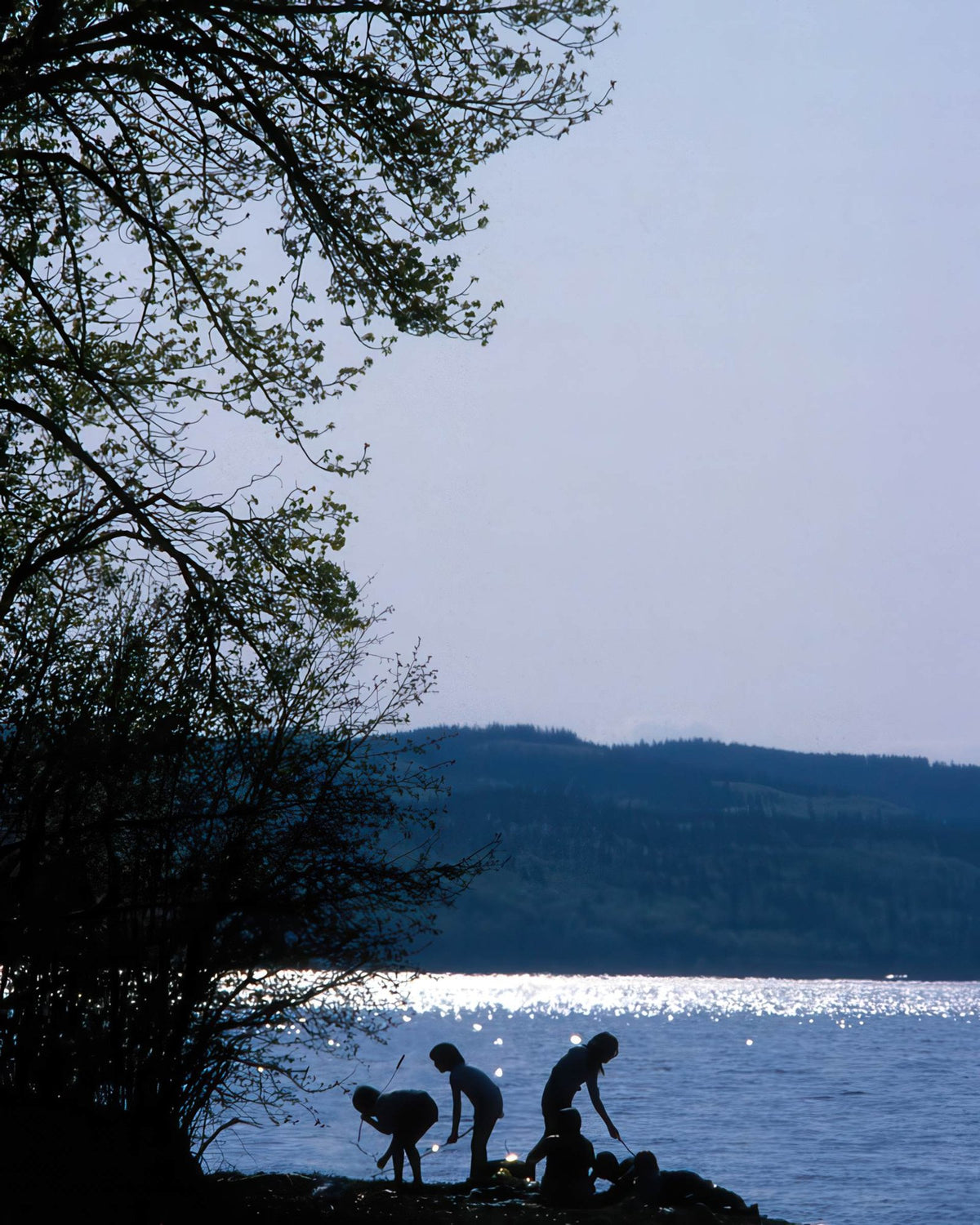 Lake Shore Silhouettes A4 Photo Print
