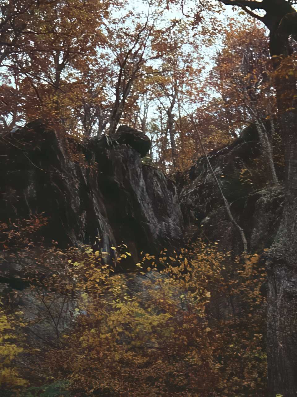 Lake Superior Autumn A4 Photo Print