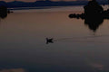 Lake Tahoe Sunset A4 Photo Print