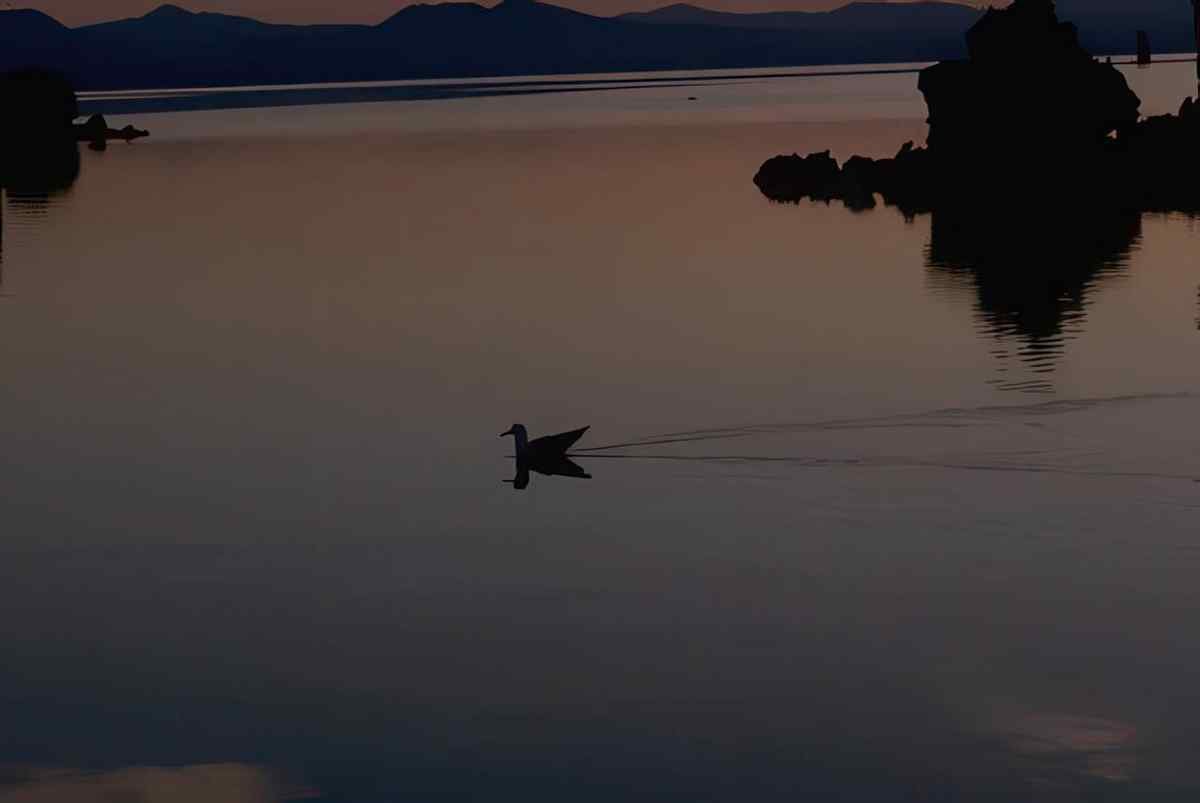 Lake Tahoe Sunset A4 Photo Print
