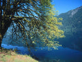Lake Tree Mountains A4 Photo Print