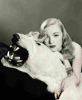 Lake Veronica 20S film star poster A4 Photo Print