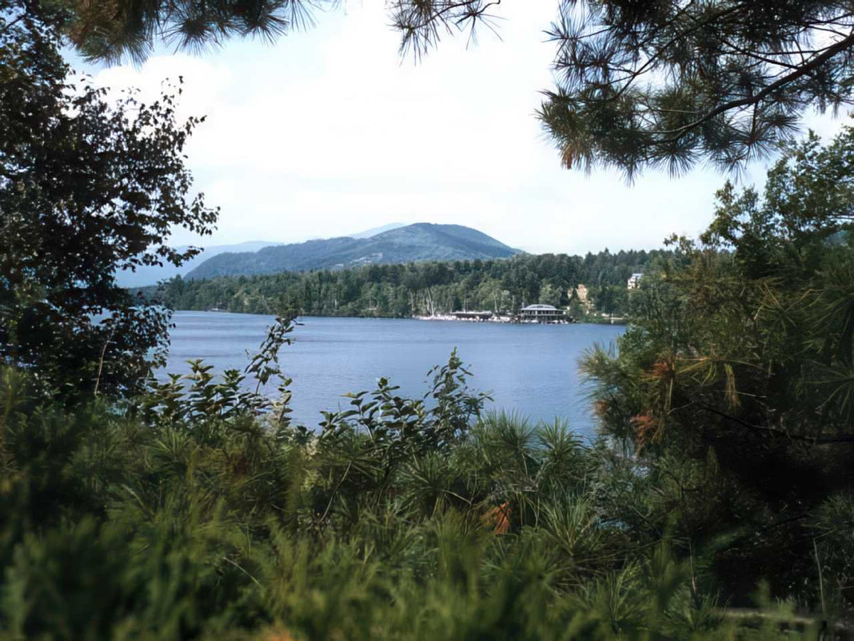 Lake View Adirondacks A4 Photo Print