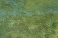 Lake Wetland Green A4 Photo Print