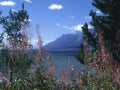 Lake Yellowstone Tetons A4 Photo Print