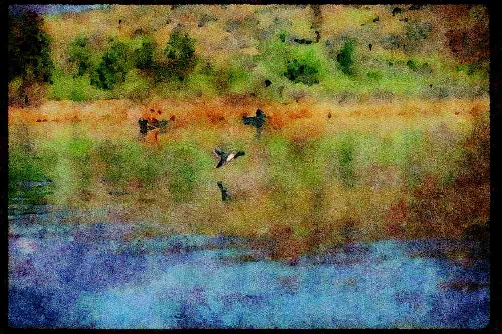 Lakes and rivers 026006 Lake Wapato With Ducks A4 Limited Edition Watercolour Print