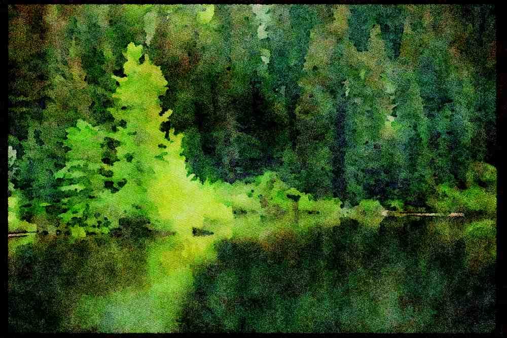 Lakes and rivers 026011 Lake Near Big Trees A4 Limited Edition Watercolour Print