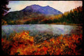 Lakes and rivers 026016 Lake White Swan In Fall A4 Limited Edition Watercolour Print