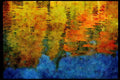 Lakes and rivers 026023 Fall Reflections In Lake A4 Limited Edition Watercolour Print