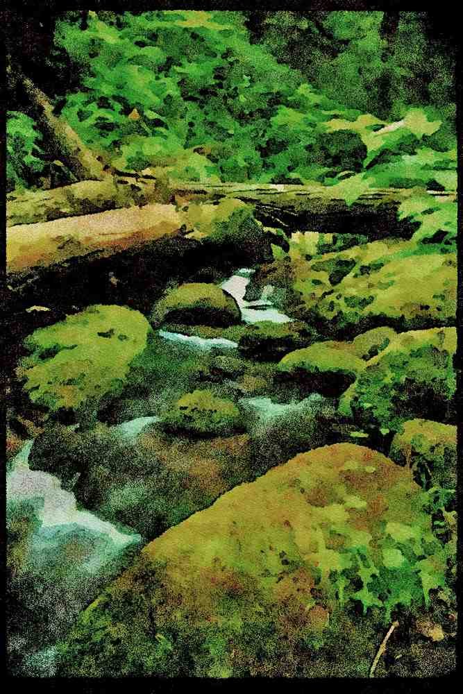 Lakes and rivers 026048 Mossy Rocks, Log Over Stream A4 Limited Edition Watercolour Print