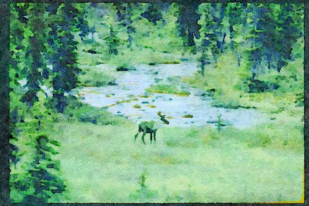 Lakes and rivers 026065 Caribou By River A4 Limited Edition Watercolour Print