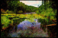 Lakes and rivers 026074 Lilies On Water A4 Limited Edition Watercolour Print