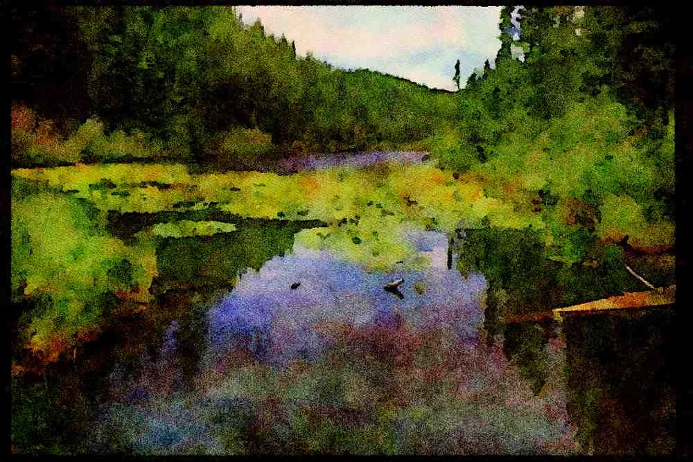 Lakes and rivers 026074 Lilies On Water A4 Limited Edition Watercolour Print