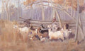 Lambert A Bush Idyll A4 Photo Print