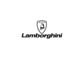 Lamborghini4 A4 Photo Print