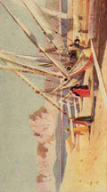 Lamplough Augustus Osborne 1877 1930 Egypt & how to see it 1907 Timber loading at Shellal A4 Photo Print