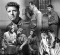 Lancaster Burt Brute Force z5 film star poster A4 Photo Print