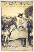 Land Army Lamb Vintage Retro Advert Poster A4 Photo Print