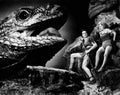 Landis Carole One Million BC 5 film star poster A4 Photo Print