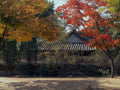 Landmark Autumn Korean House A4 Photo Print