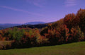 Landmark Autumn Landscape Maple A4 Photo Print