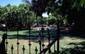 Landmark Cemetery View Hawaiian A4 Photo Print
