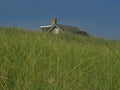 Landmark Cottage Dunes Grass A4 Photo Print