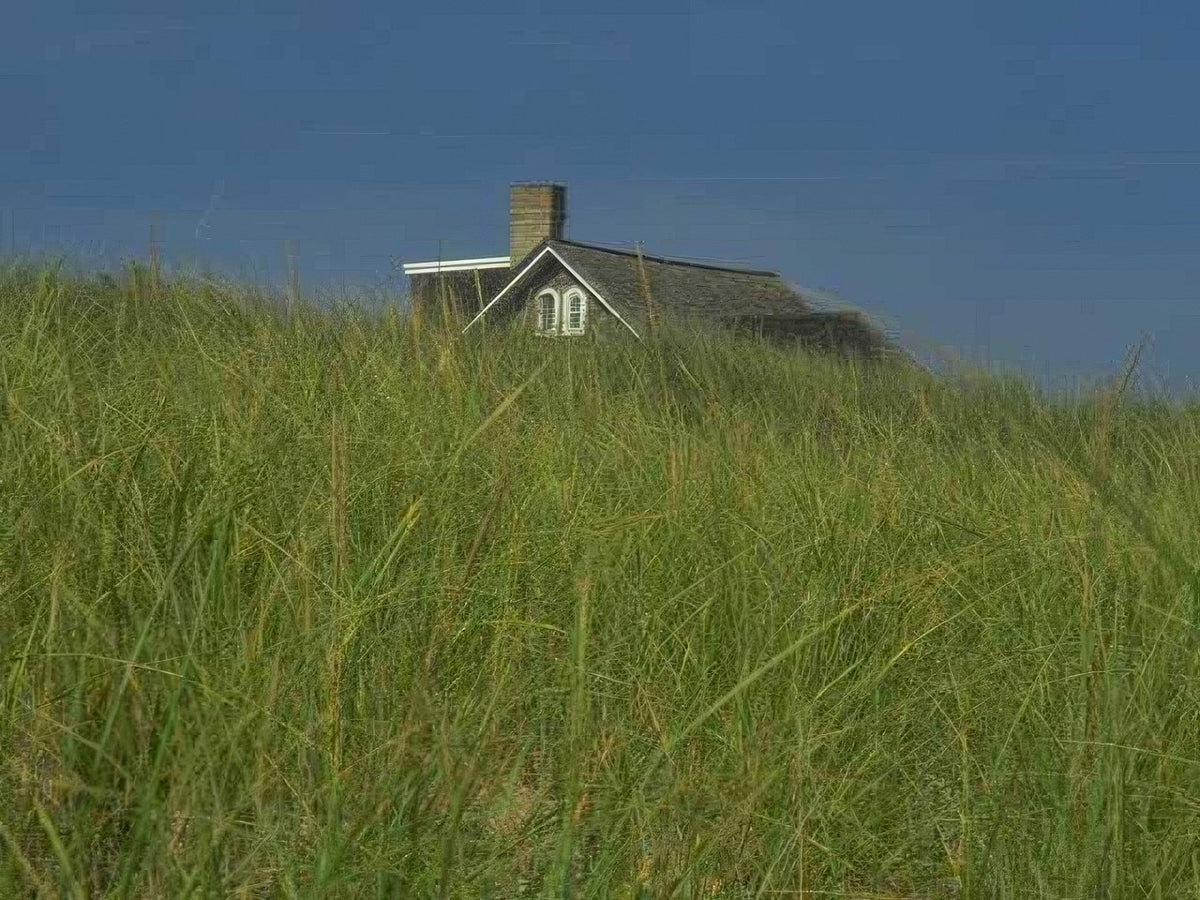 Landmark Cottage Dunes Grass A4 Photo Print