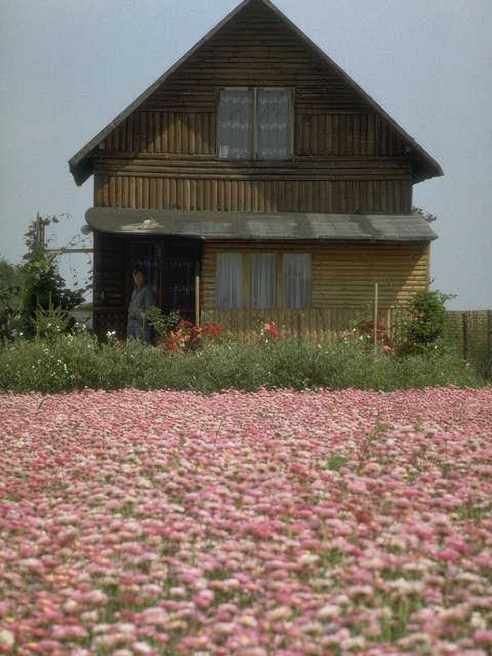 Landmark Cottage Flower Field A4 Photo Print