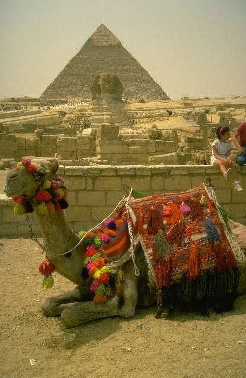 Landmark Giza Pyramid Camel A4 Photo Print