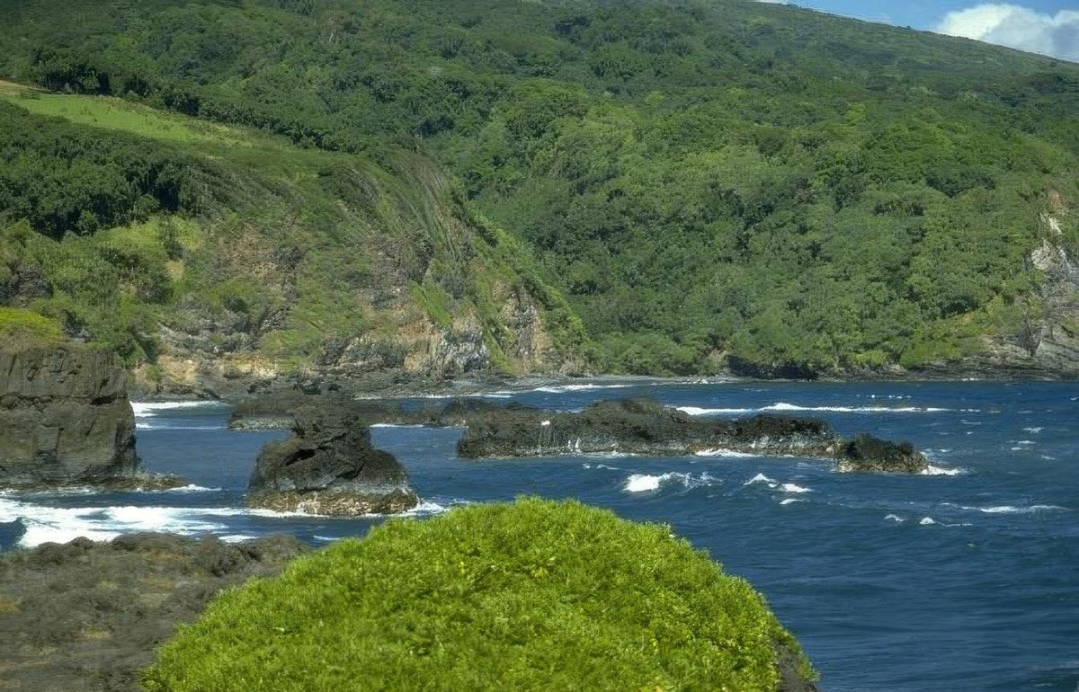 Landmark Maui Coastline Hills A4 Photo Print