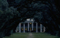 Landmark Oak Tree Avenue A4 Photo Print
