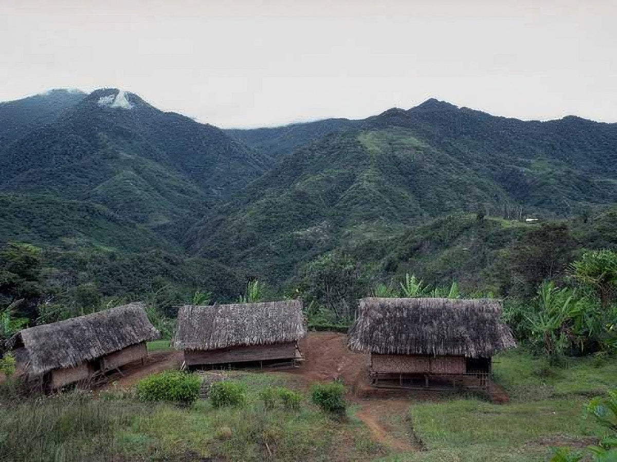 Landmark Rural Indigenous Housing A4 Photo Print