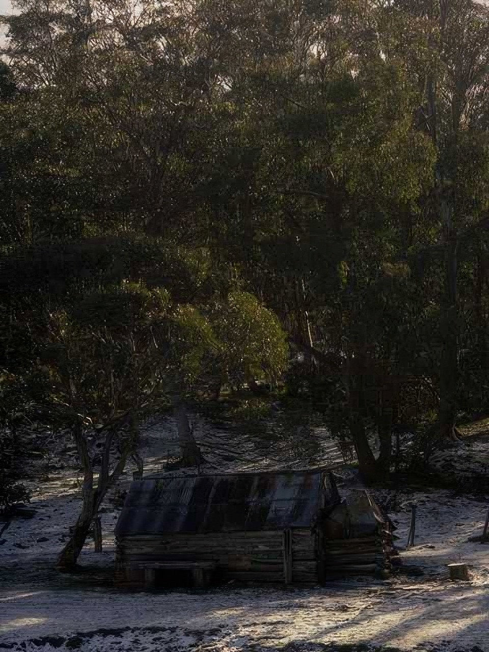 Landmark Rustic Log Cabin A4 Photo Print