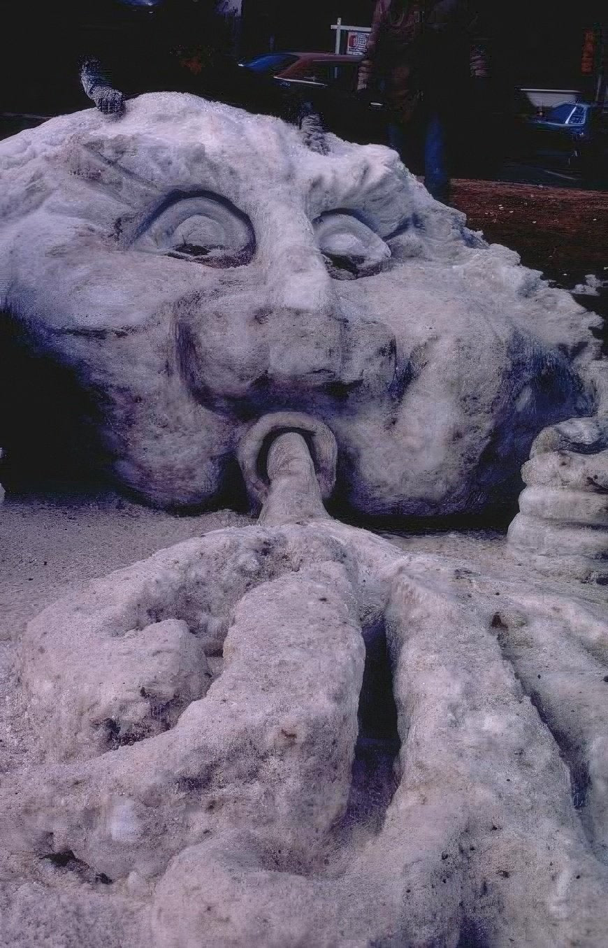 Landmark Snow Face Maple A4 Photo Print