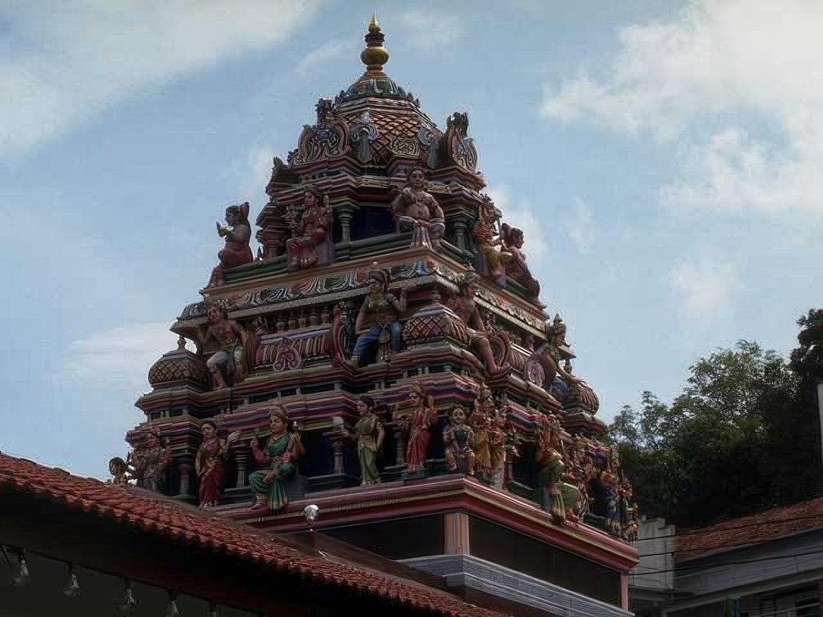 Landmark Sri Mariamman Elephant A4 Photo Print