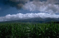 Landmark Sugarcane Storm Mountains A4 Photo Print