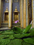 Landmark Wat Arun Lotus A4 Photo Print