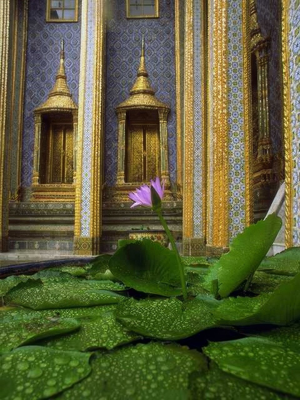 Landmark Wat Arun Lotus A4 Photo Print
