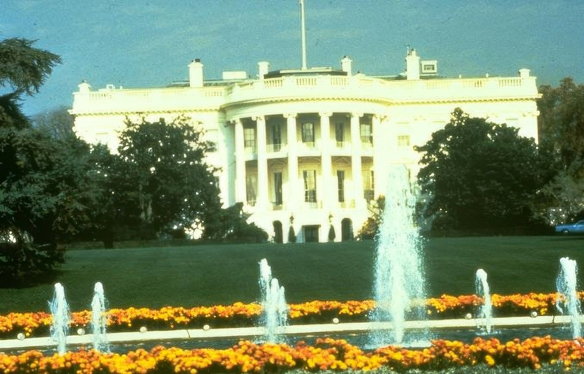 Landmark White House Marigolds 1 A4 Photo Print