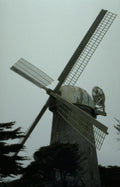 Landmark Windmill Coast Trees A4 Photo Print