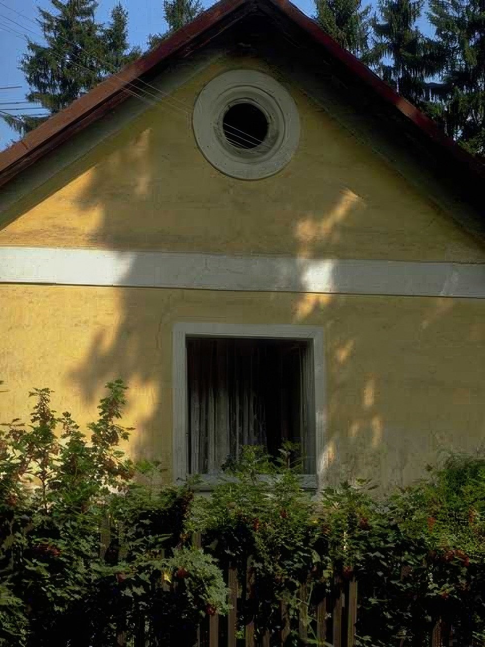 Landmark Yellow Cottage Roses A4 Photo Print
