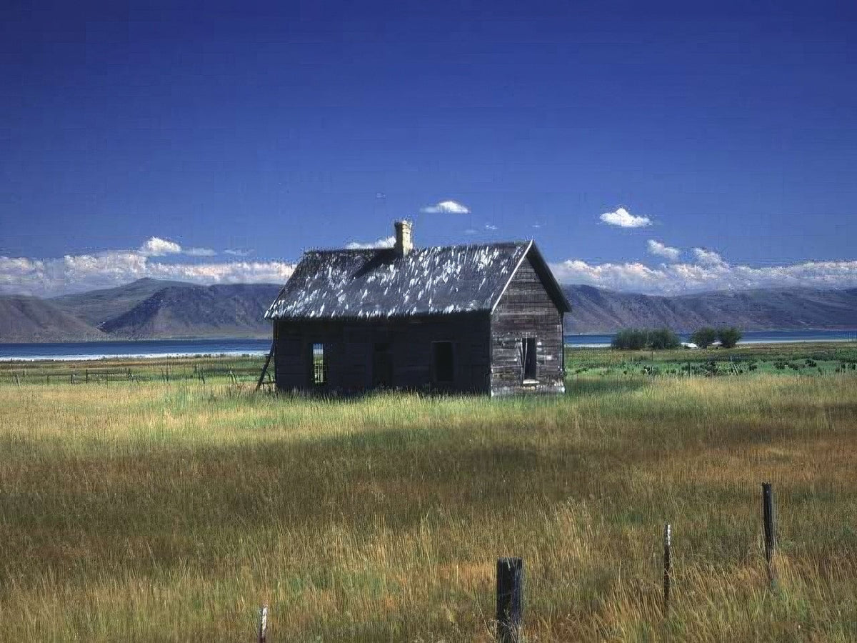Landscape Abandoned Cabin Landscape A4 Photo Print