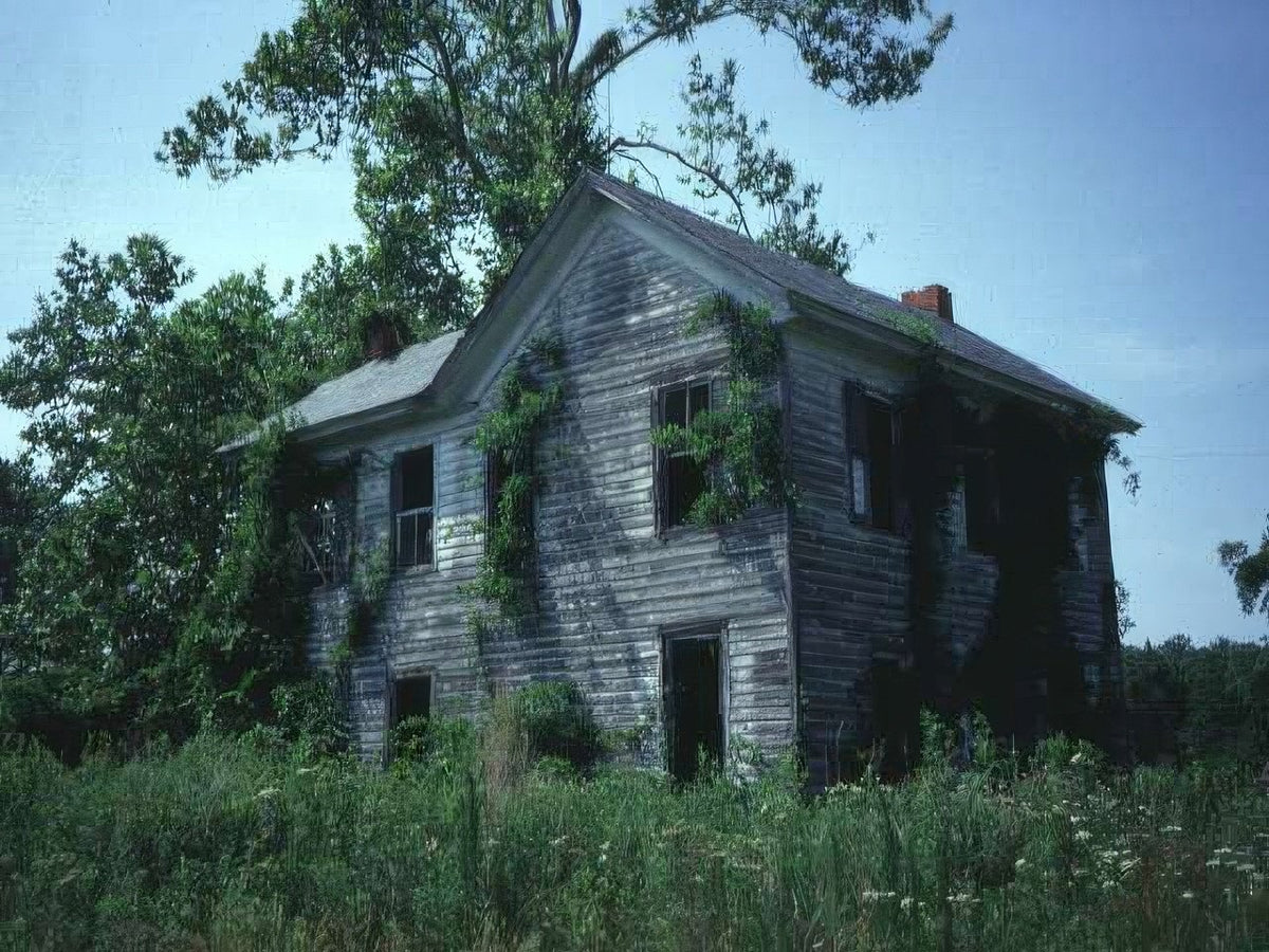 Landscape Abandoned House Ivy A4 Photo Print