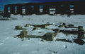 Landscape Abandoned Train Depot A4 Photo Print