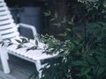 Landscape Adirondack Chair Euonymus A4 Photo Print
