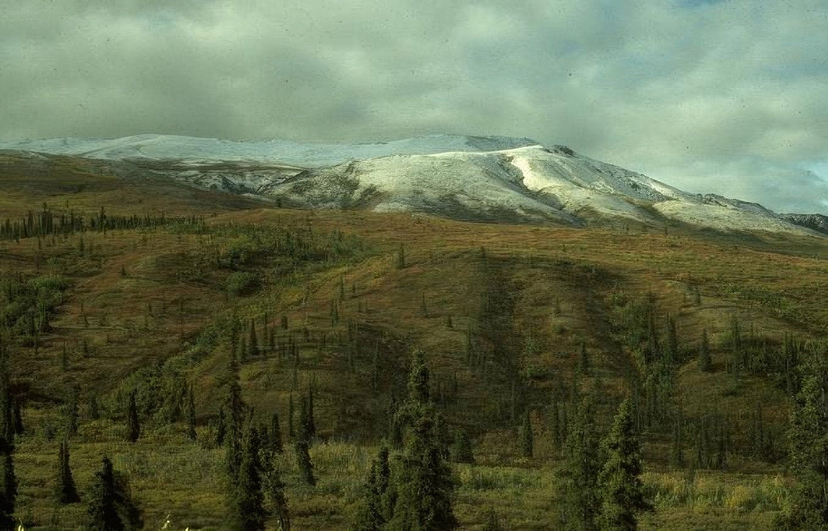 Landscape Alaska Snow Mountains A4 Photo Print